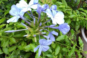 九游体育-SKT教练压力巨大！，Doinb遭遇十持续失利气势如虹延续(speddownhill)